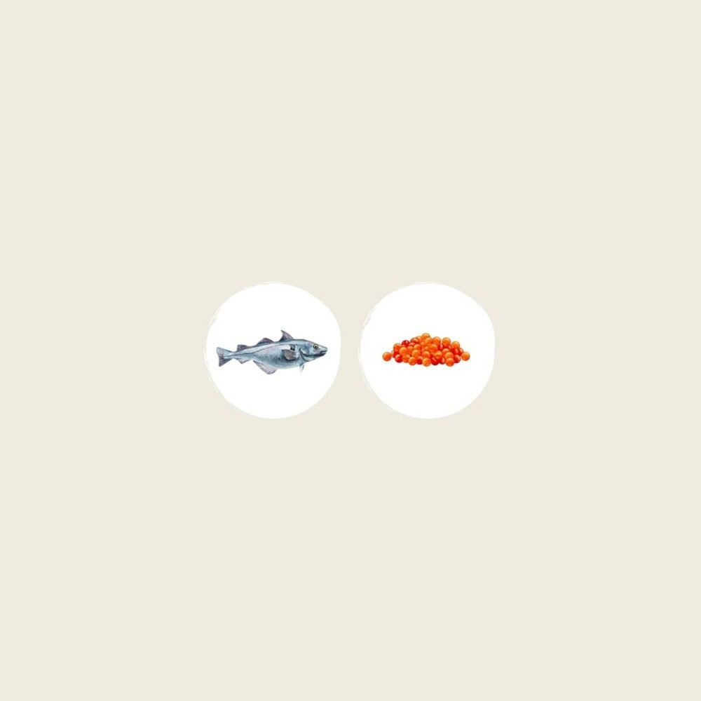 Futter EDEN Fisch 1,5 Kg