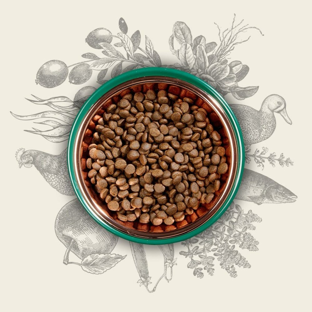Futter EDEN Original Cousine 10 kg