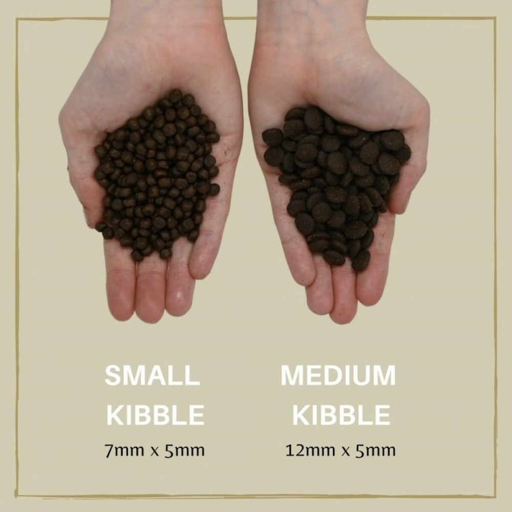 Futter EDEN 80/20 Medium kibble Lachsfarben 2 Kg