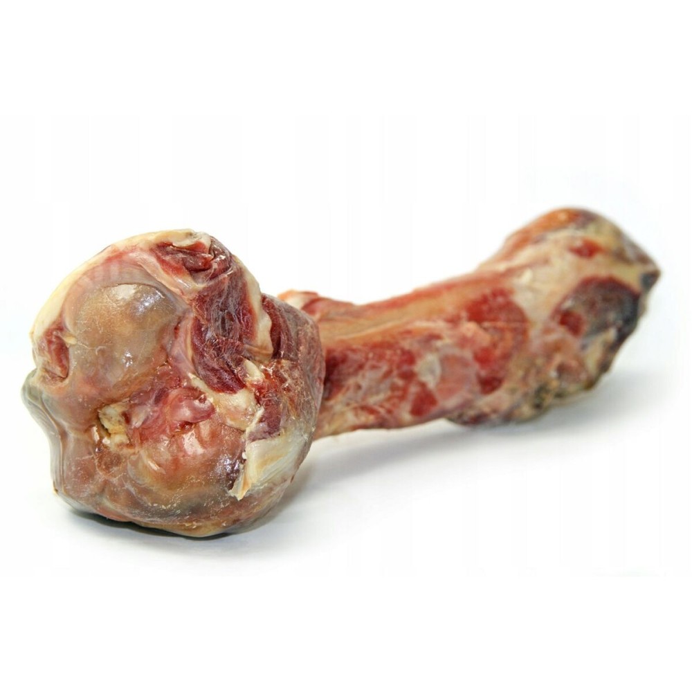 Hundesnack EDEN Prosciutto di Parma Schwein