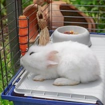 Cage Ferplast Rabbit 120 Métal Plastique 11,8 x 58,5 x 49,5 cm