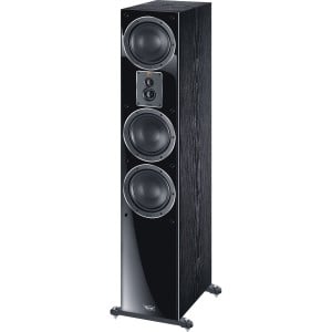 Speaker Magnat Signature 507