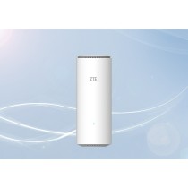 Router ZTE Z1320 Blanc Ethernet LAN Wi-Fi