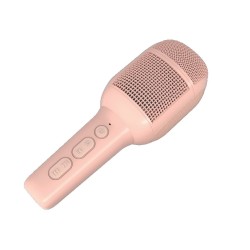 Microphone Celly KIDSFESTIVAL2PK Noir Rose