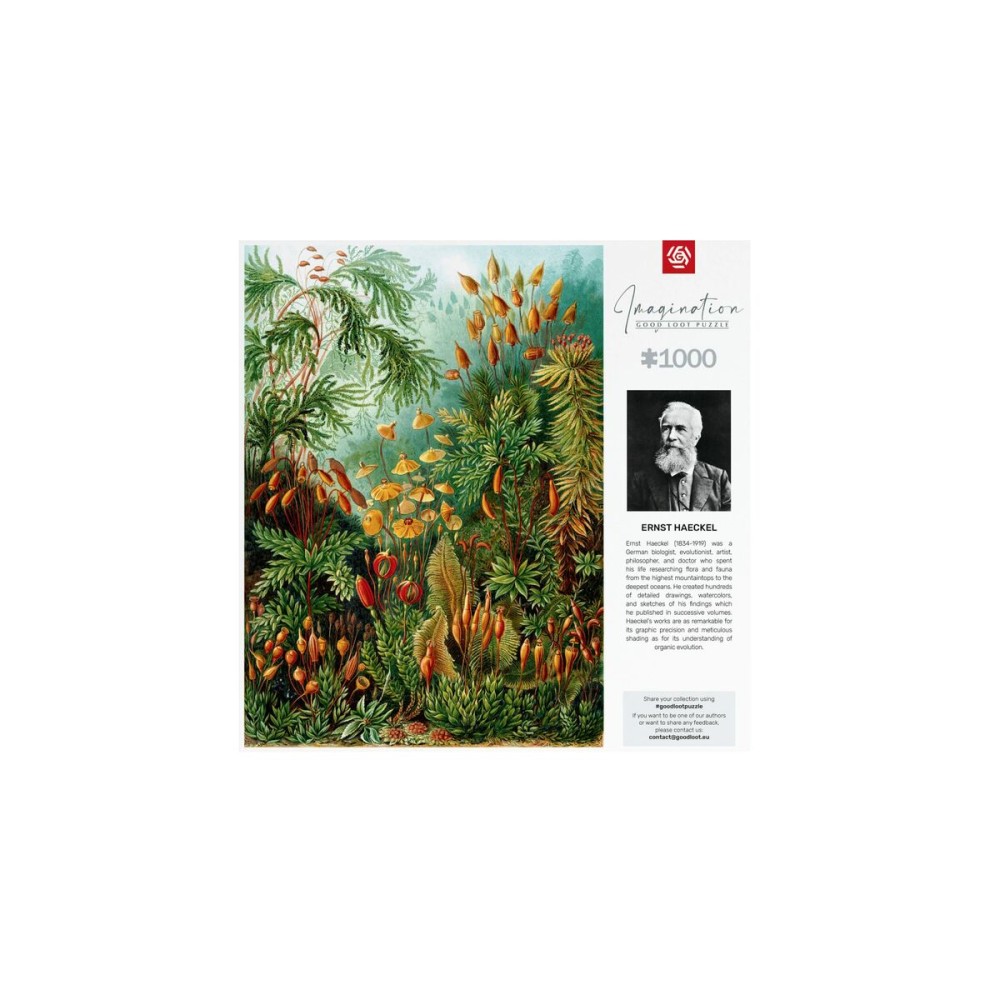 Puzzle Cenega Publishing Imagination: Ernst Haeckel Muscinae 1000 Stücke