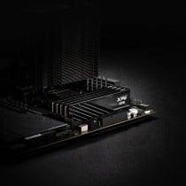 Mémoire RAM Adata AX5U6000C3016G-DTLABBK 32 GB DDR5 6000 MHz CL40
