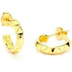 Ladies' Earrings Radiant RY000214 Metal