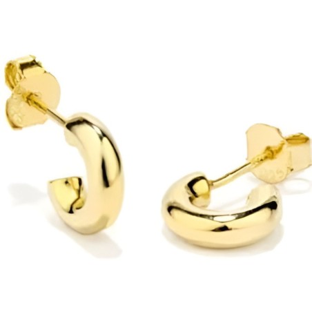 Boucles d´oreilles Femme Radiant RY000224 Métal