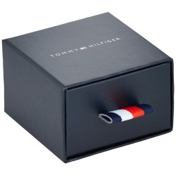 Damenohrringe Tommy Hilfiger 2780272 Edelstahl