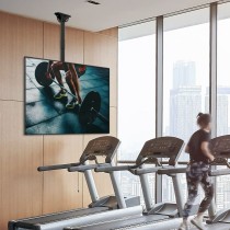 TV Deckenhalterung Techly ICA-CPLB 946L 70" 37"