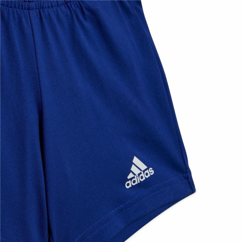 Baby-Sportset Adidas Essentials Organic Grau