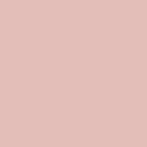 Primer Paint Ripolin Rose Satin finish