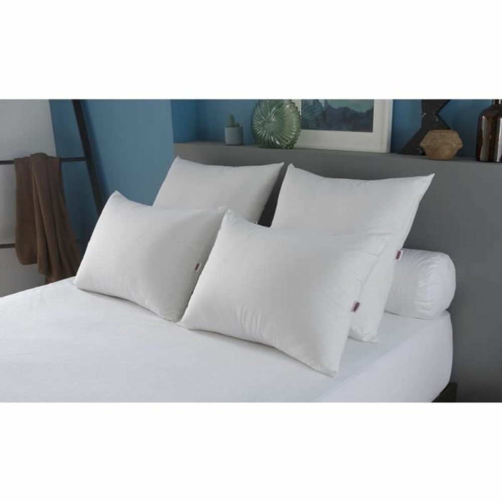 Pillow DODO White 50 x 70 cm (2 Units)