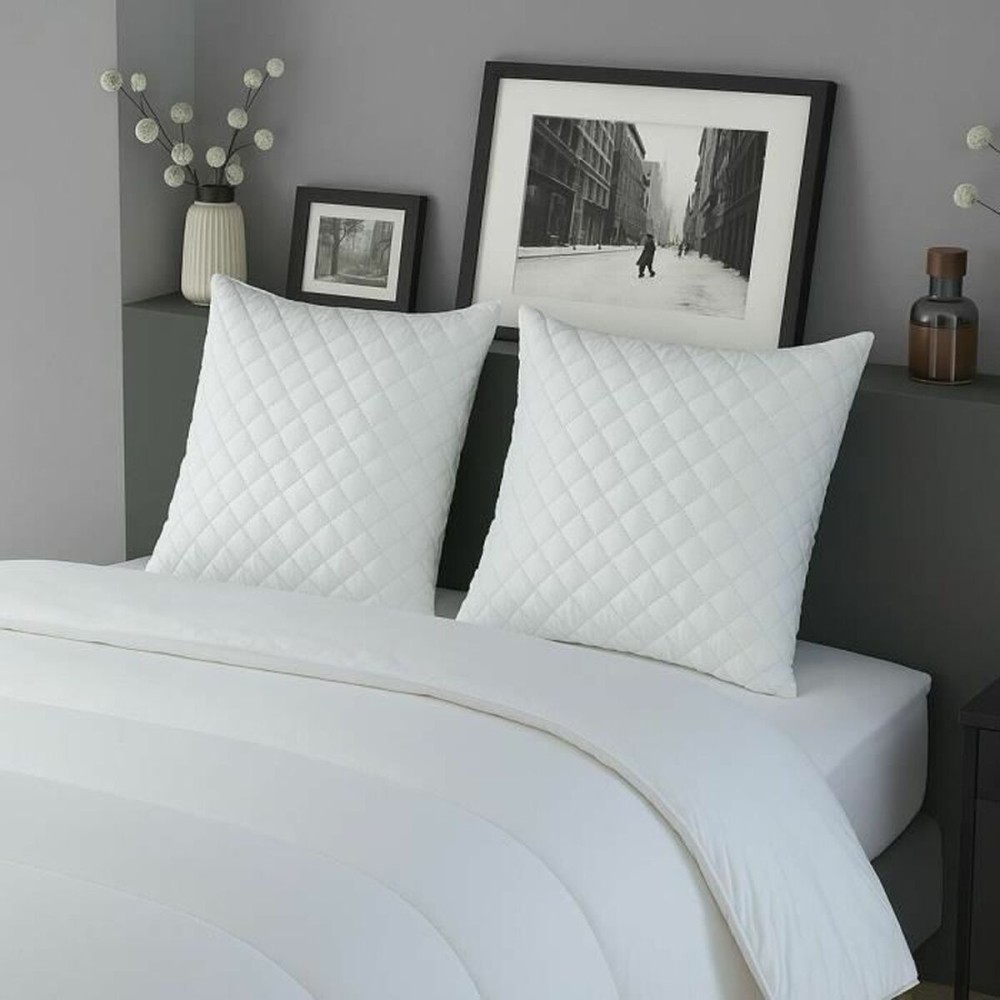 Pillow DODO White 60 x 60 cm (2 Units)