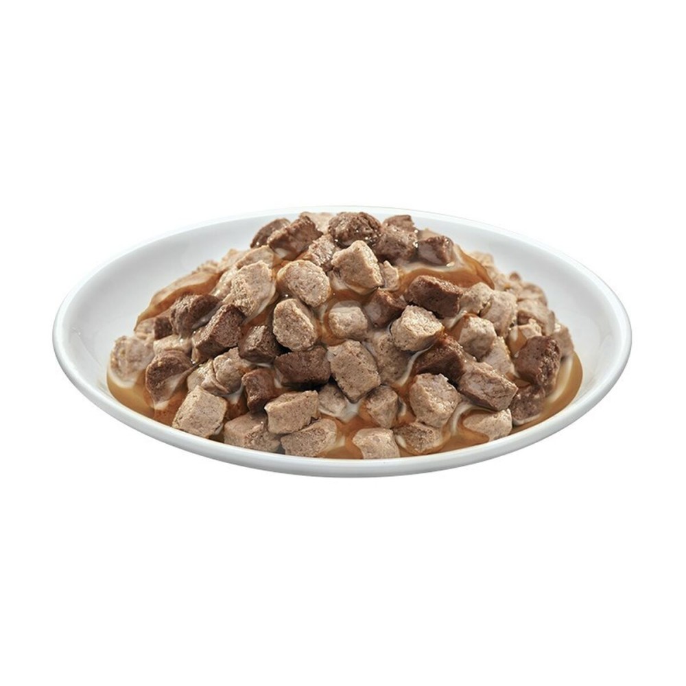 Cat food Prevital