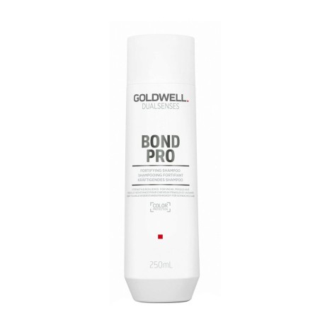 Shampoo Goldwell 250 ml