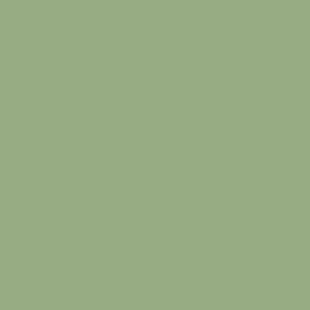 Primer Paint Ripolin Vert Satin finish 2,5 L
