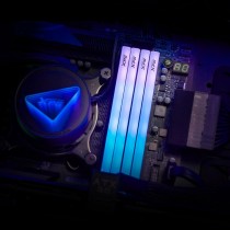 RAM Speicher Adata AX5U6000C3016G-DTLABRBK 32 GB DDR5 6000 MHz cl30