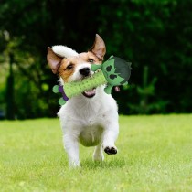 Jouet pour chien The Avengers Vert 100 % polyester