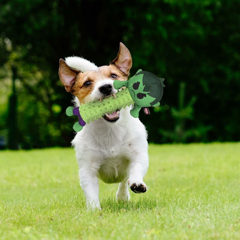 Jouet pour chien The Avengers Vert 100 % polyester