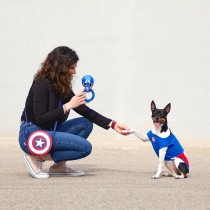 Dog toy The Avengers Blue 100 % polyester