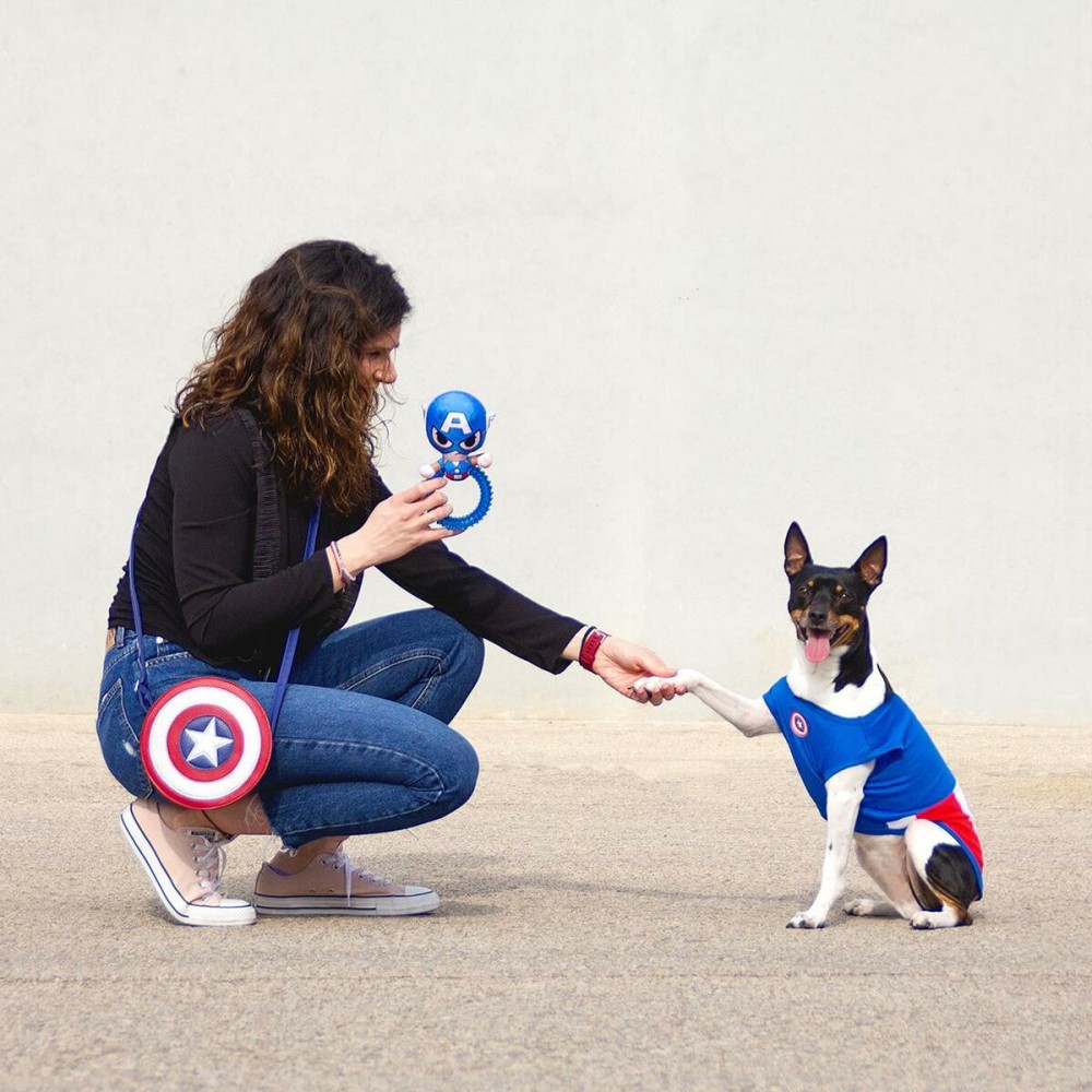 Dog toy The Avengers Blue 100 % polyester