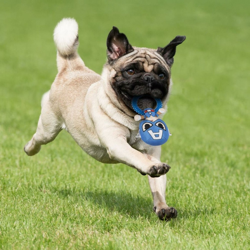 Jouet pour chien The Avengers Bleu 100 % polyester