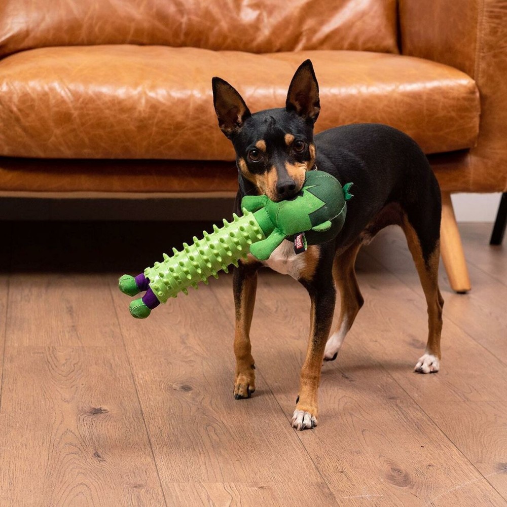 Dog toy The Avengers Green 100 % polyester