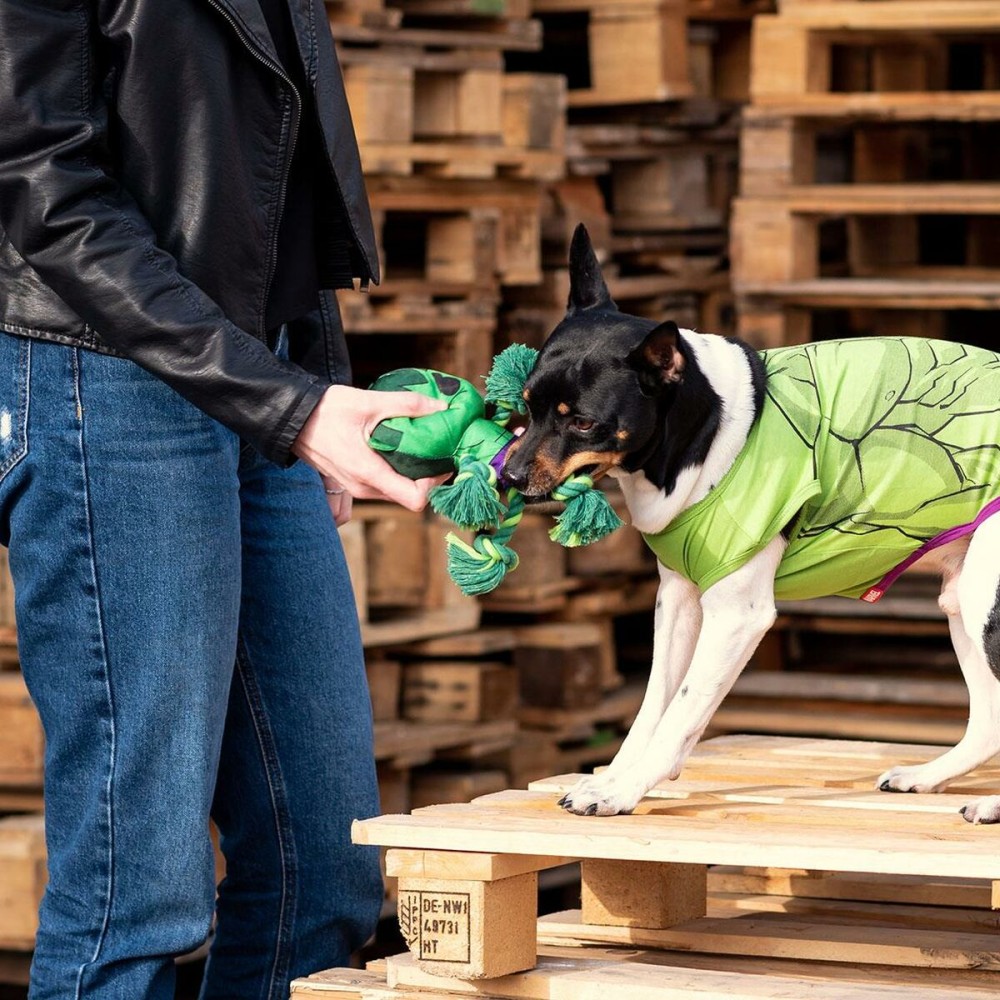 Dog toy The Avengers Green 100 % polyester