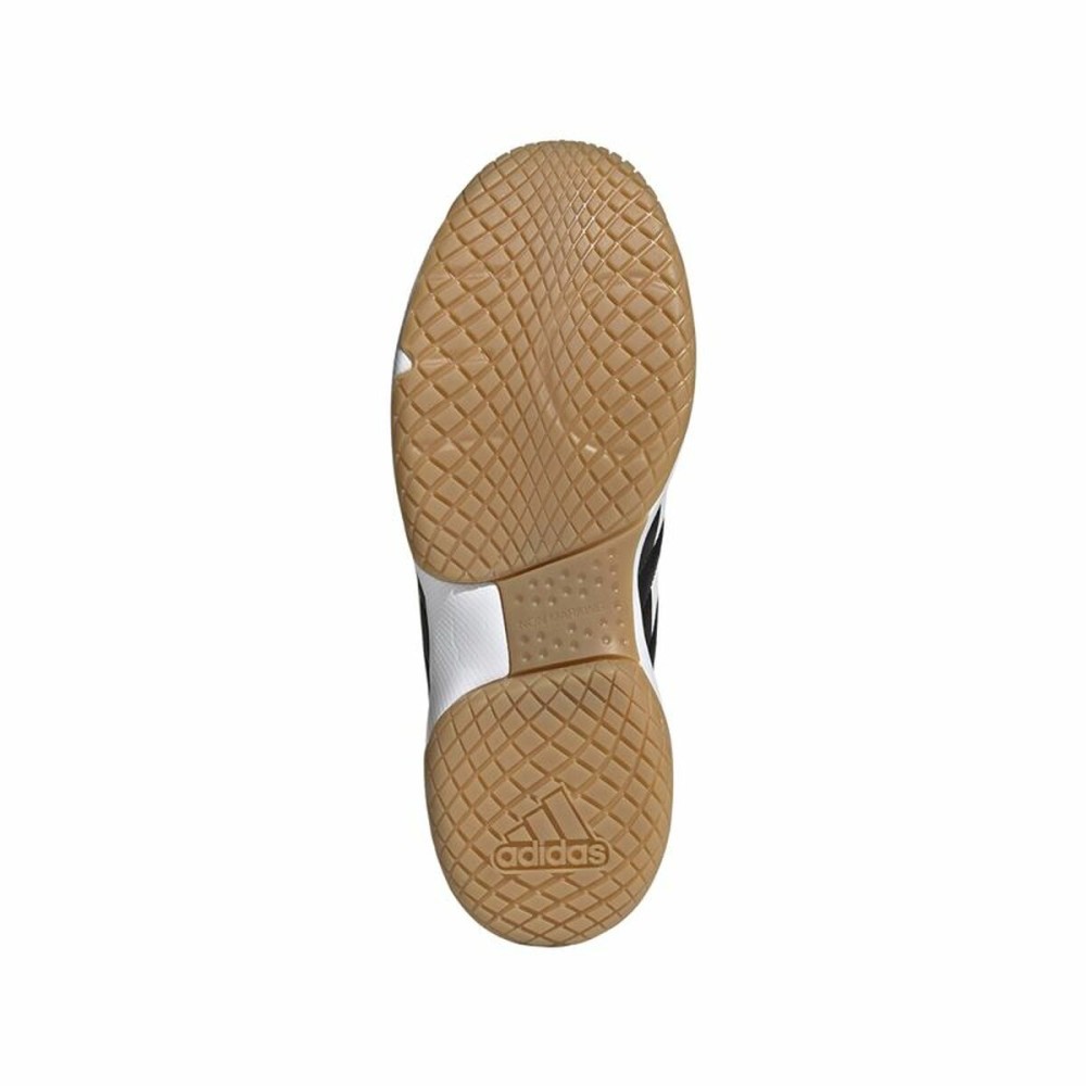 Chaussures de Sport pour Homme Adidas Ligra 7 M Volleyball