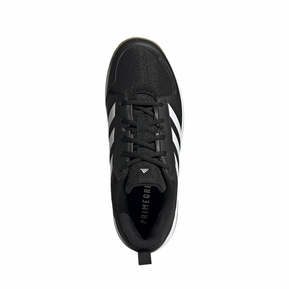 Chaussures de Sport pour Homme Adidas Ligra 7 M Volleyball