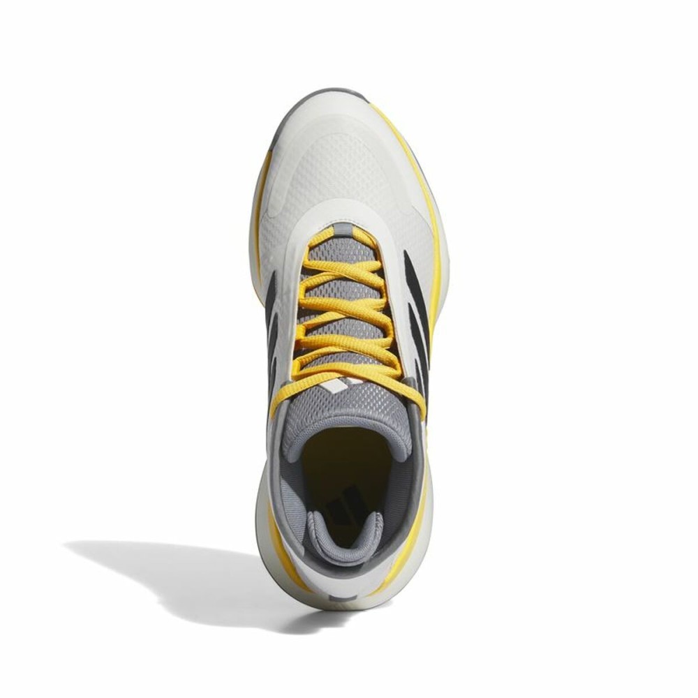Chaussures de Basket-Ball pour Adultes Adidas Bounce Legends Blanc