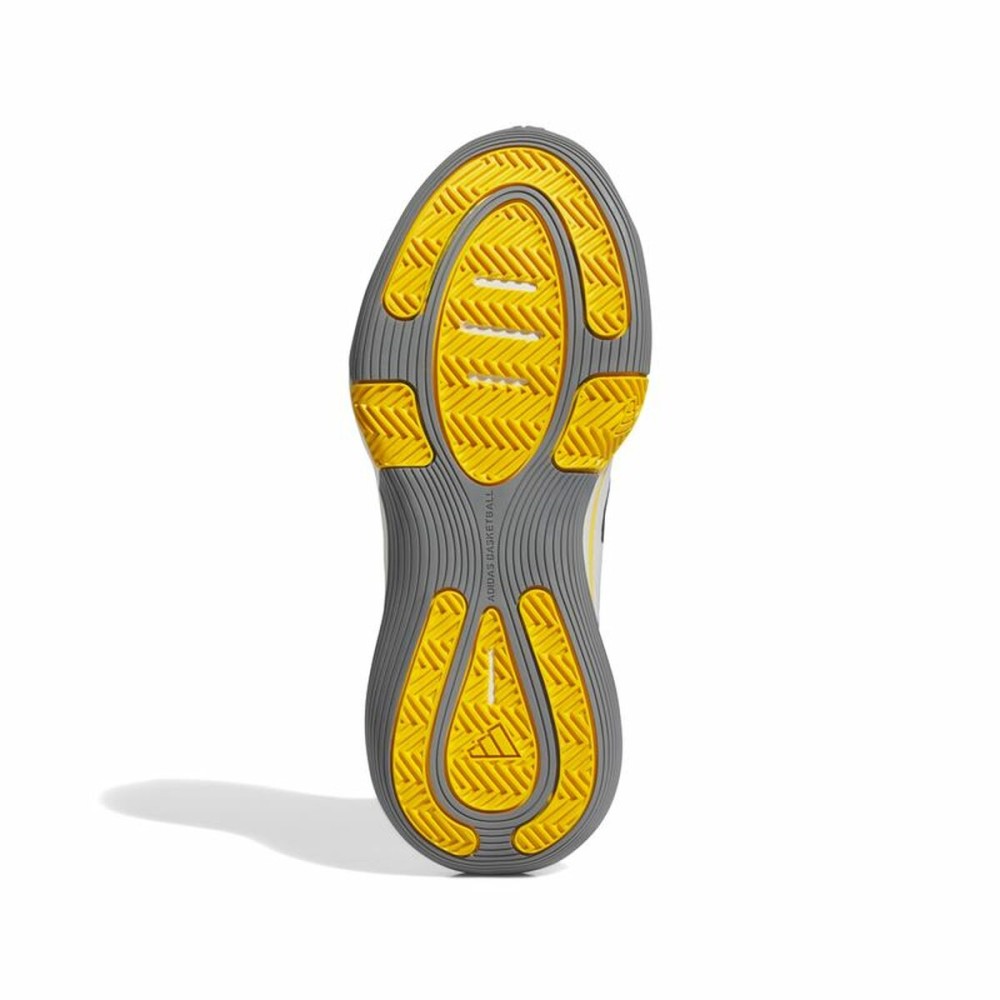 Chaussures de Basket-Ball pour Adultes Adidas Bounce Legends Blanc