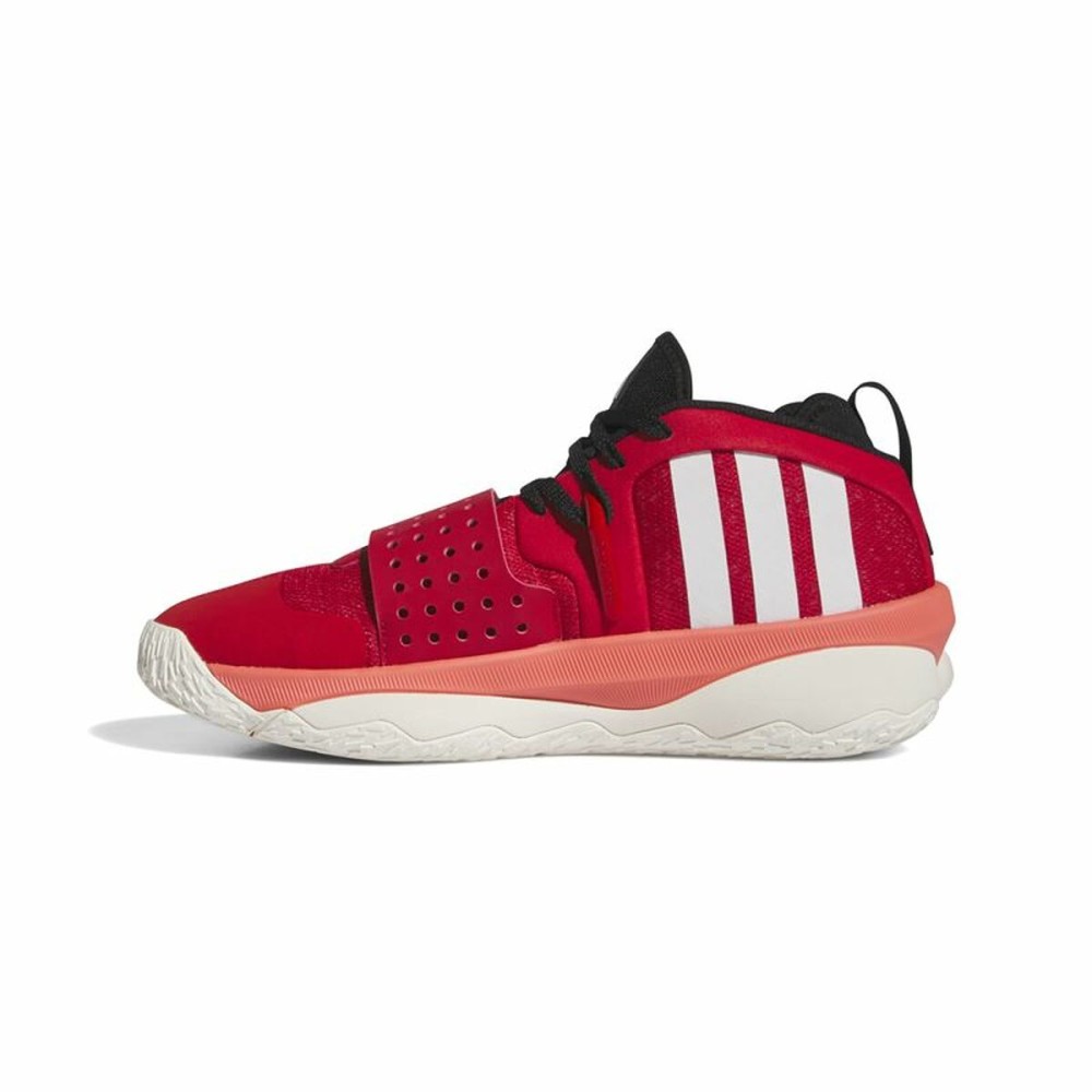 Basketballschuhe für Erwachsene Adidas Dame 8 Extply Rot