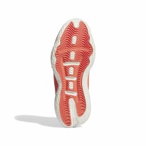 Basketballschuhe für Erwachsene Adidas Dame 8 Extply Rot