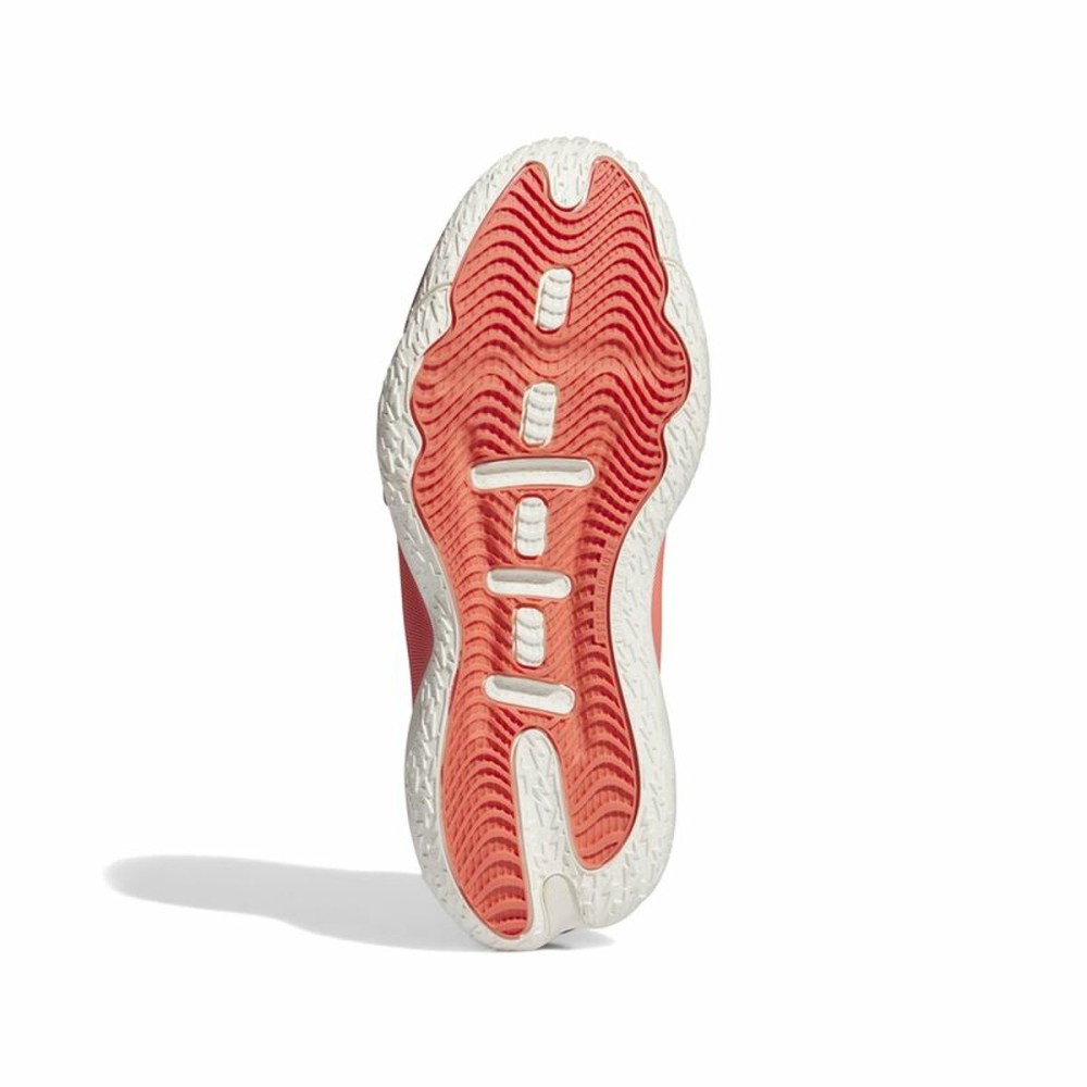 Basketballschuhe für Erwachsene Adidas Dame 8 Extply Rot