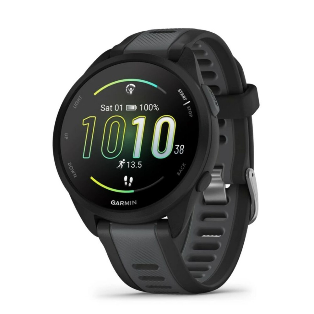 Montre intelligente GARMIN 010-02863-20 Noir Argenté