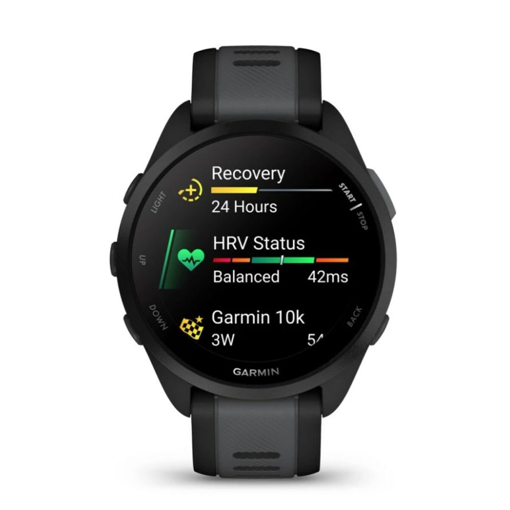 Montre intelligente GARMIN 010-02863-20 Noir Argenté