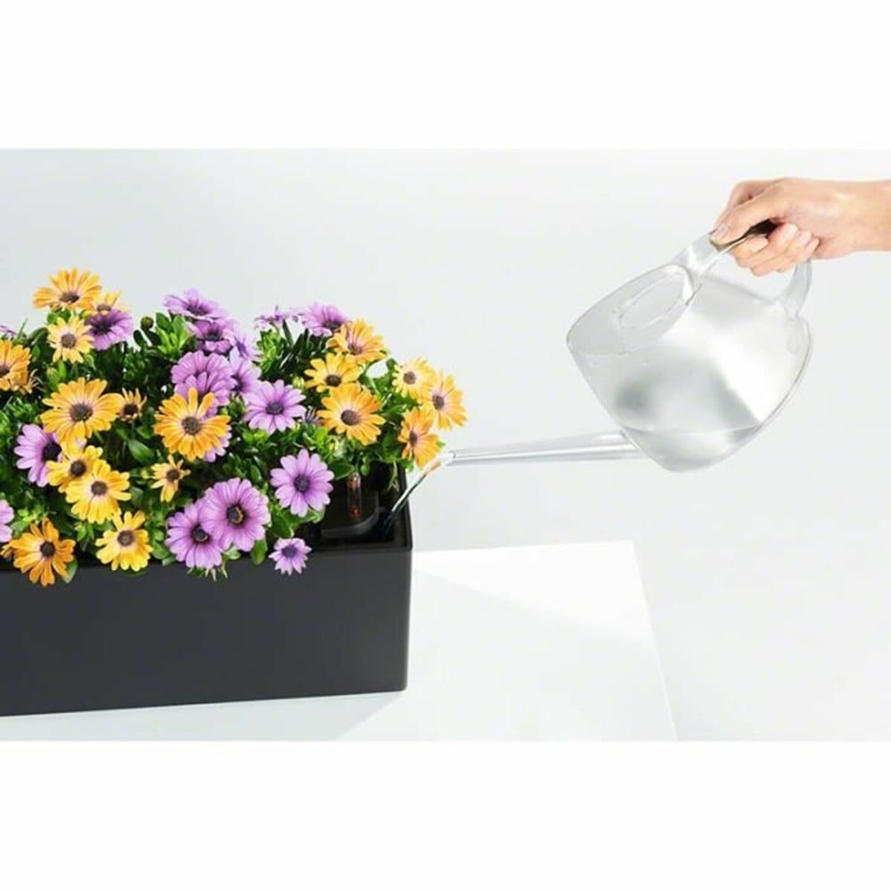Blumentopf Lechuza Braun Schwarz Polypropylen