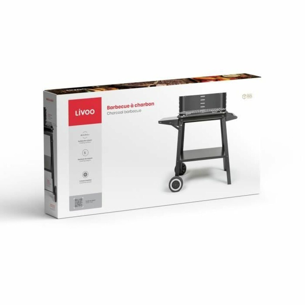 Barbecue Portable Livoo Stainless steel