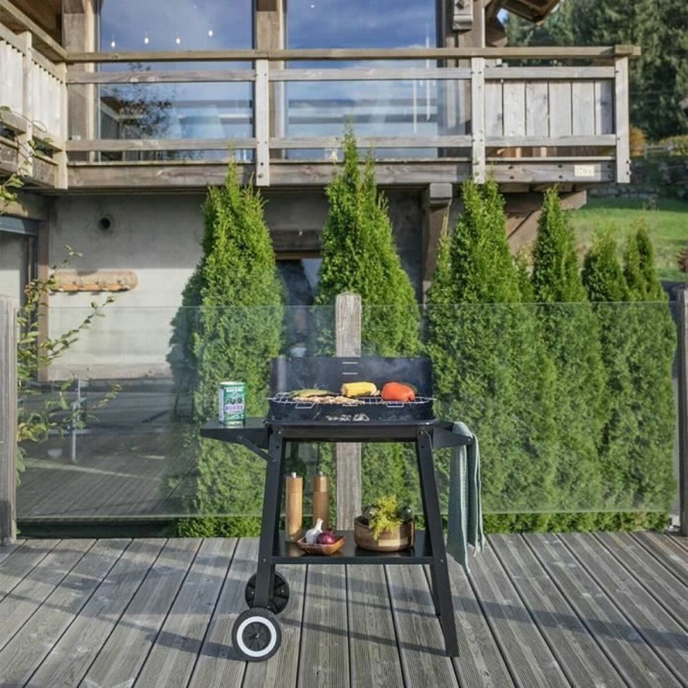 Barbecue Portable Livoo Stainless steel