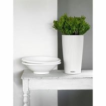 Blumentopf Lechuza