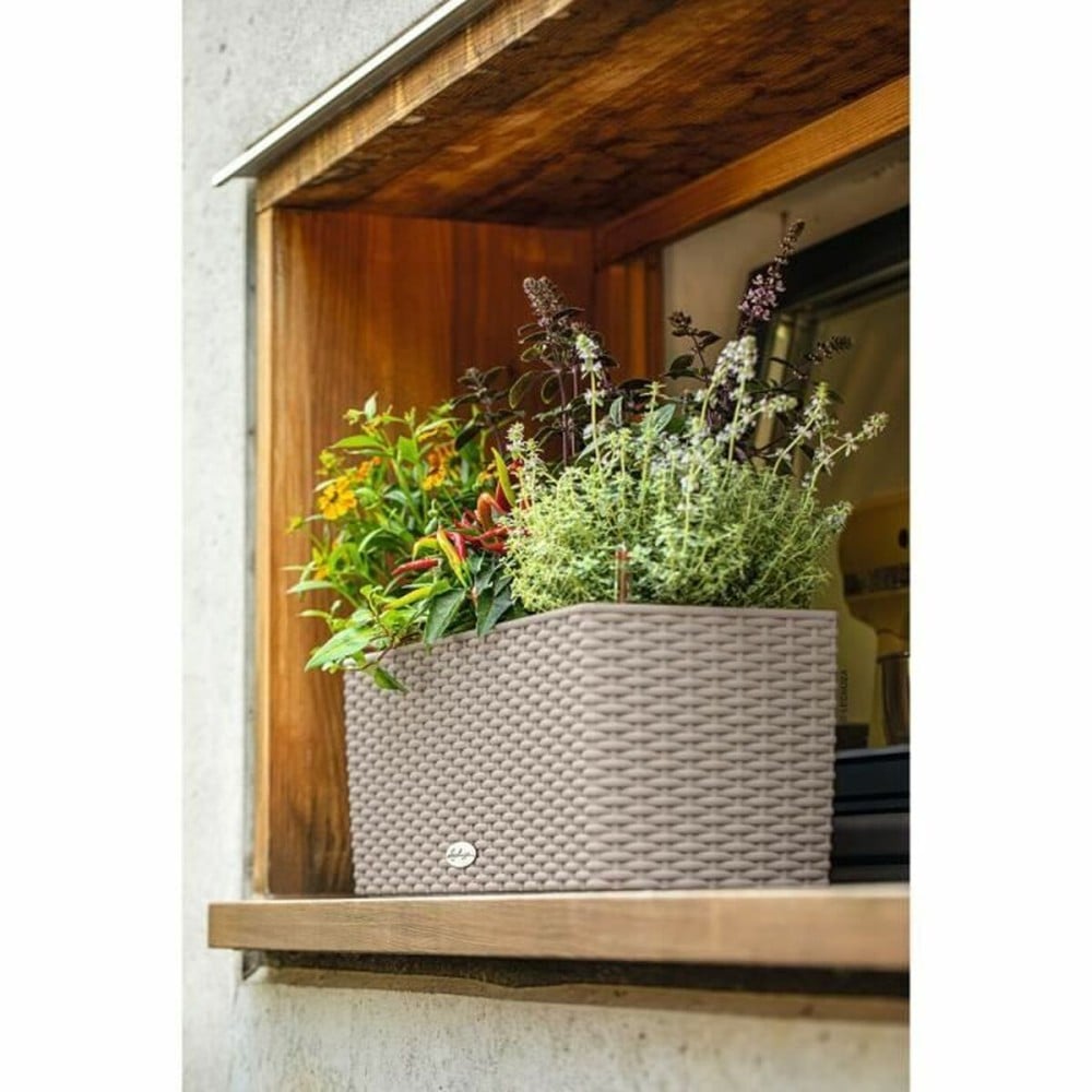 Plant pot Lechuza