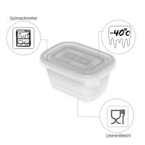 Cat Feeder Rotho Transparent (6 Units)