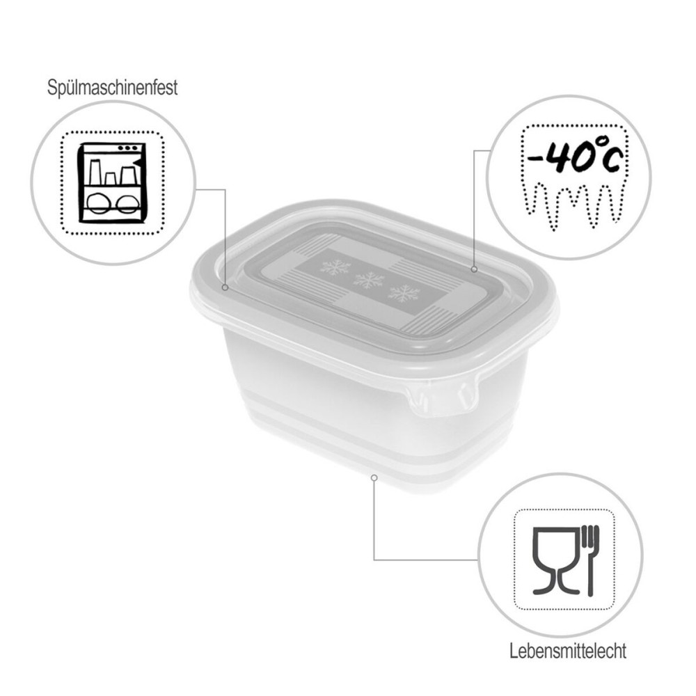 Cat Feeder Rotho Transparent (6 Units)