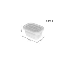 Cat Feeder Rotho Transparent (6 Units)