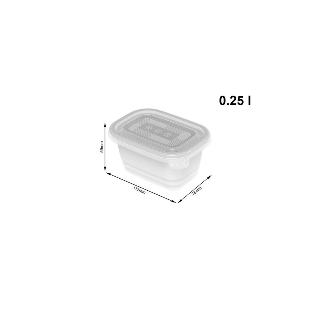 Cat Feeder Rotho Transparent (6 Units)