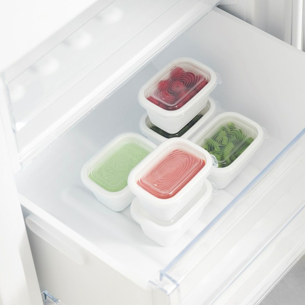 Cat Feeder Rotho Transparent (6 Units)