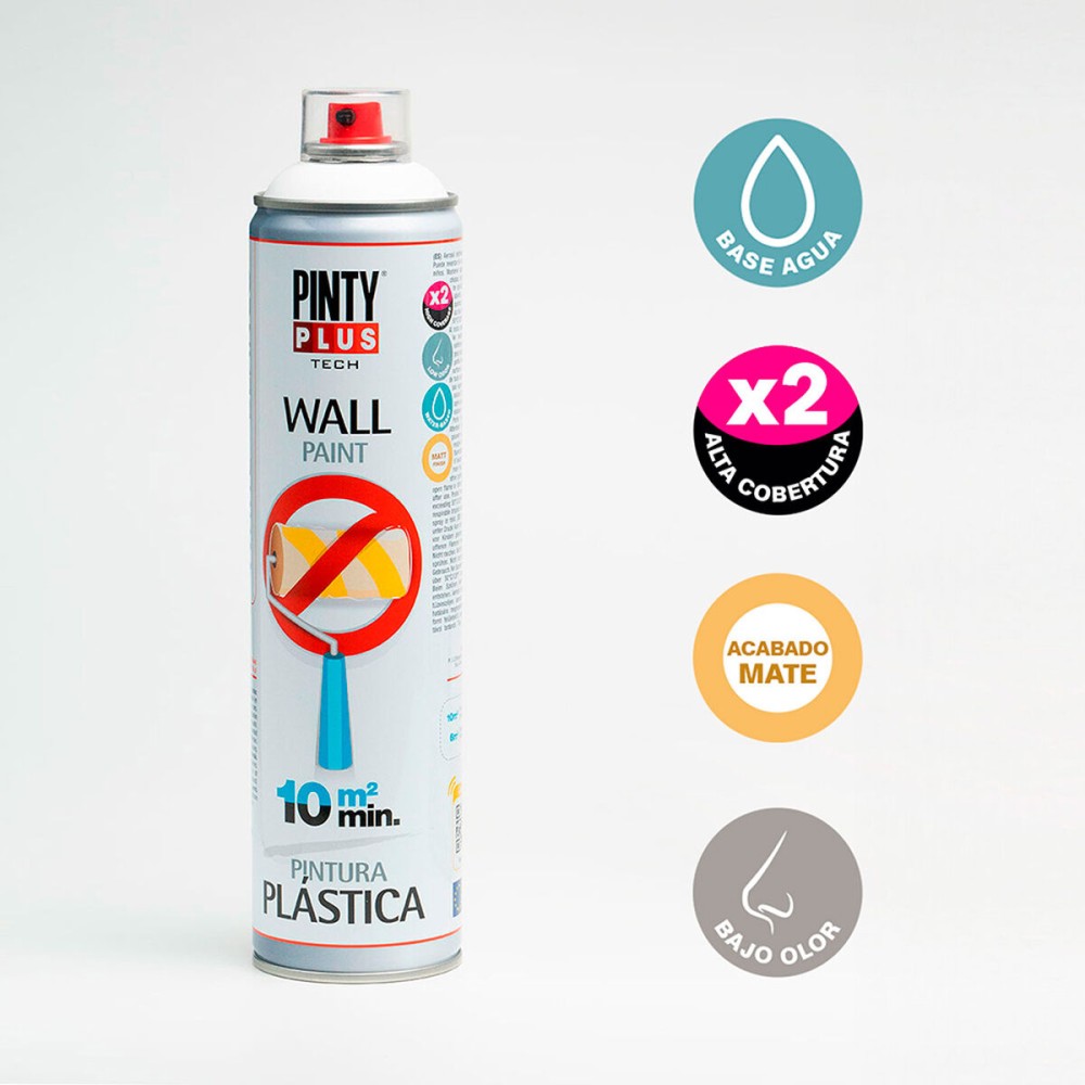 Peinture Pintyplus