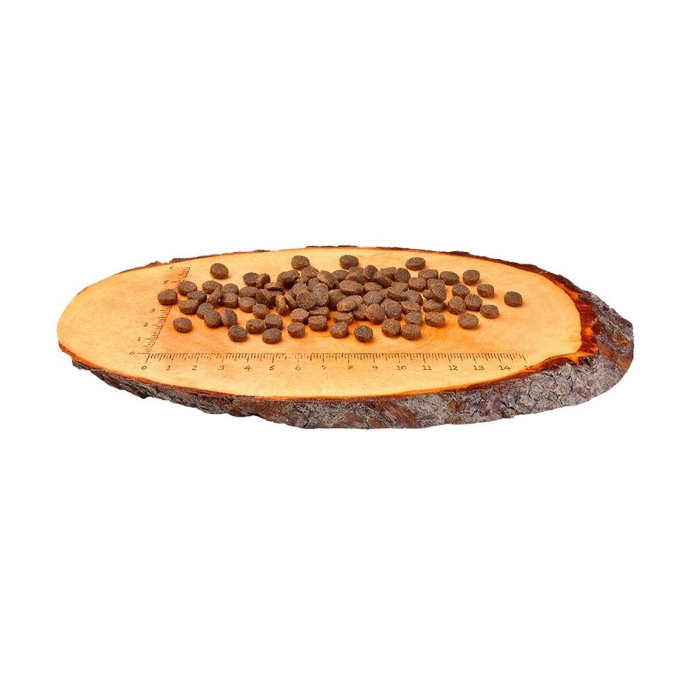Aliments pour chat Carnilove
